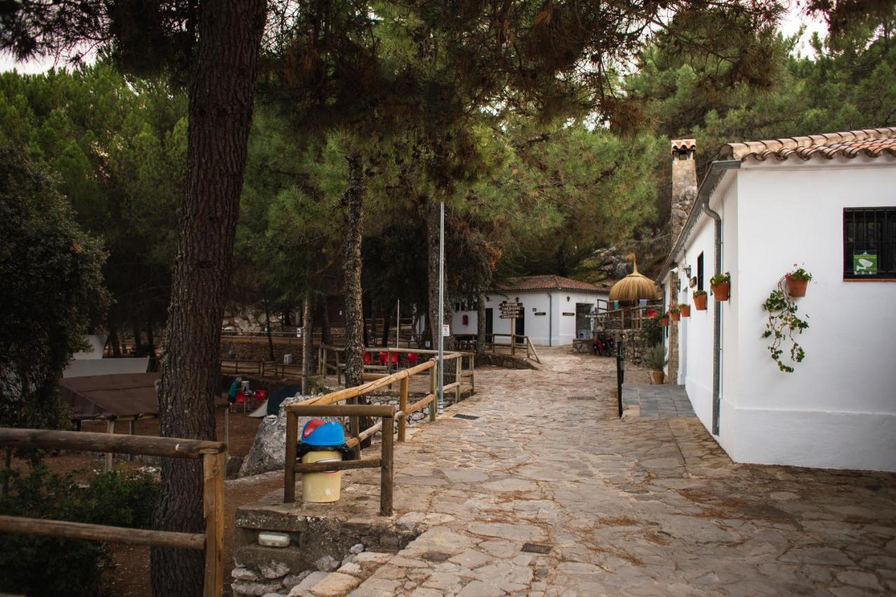 Camping Tajorodillo Грасалема Экстерьер фото