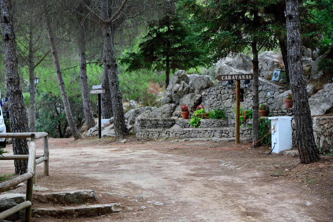 Camping Tajorodillo Грасалема Экстерьер фото