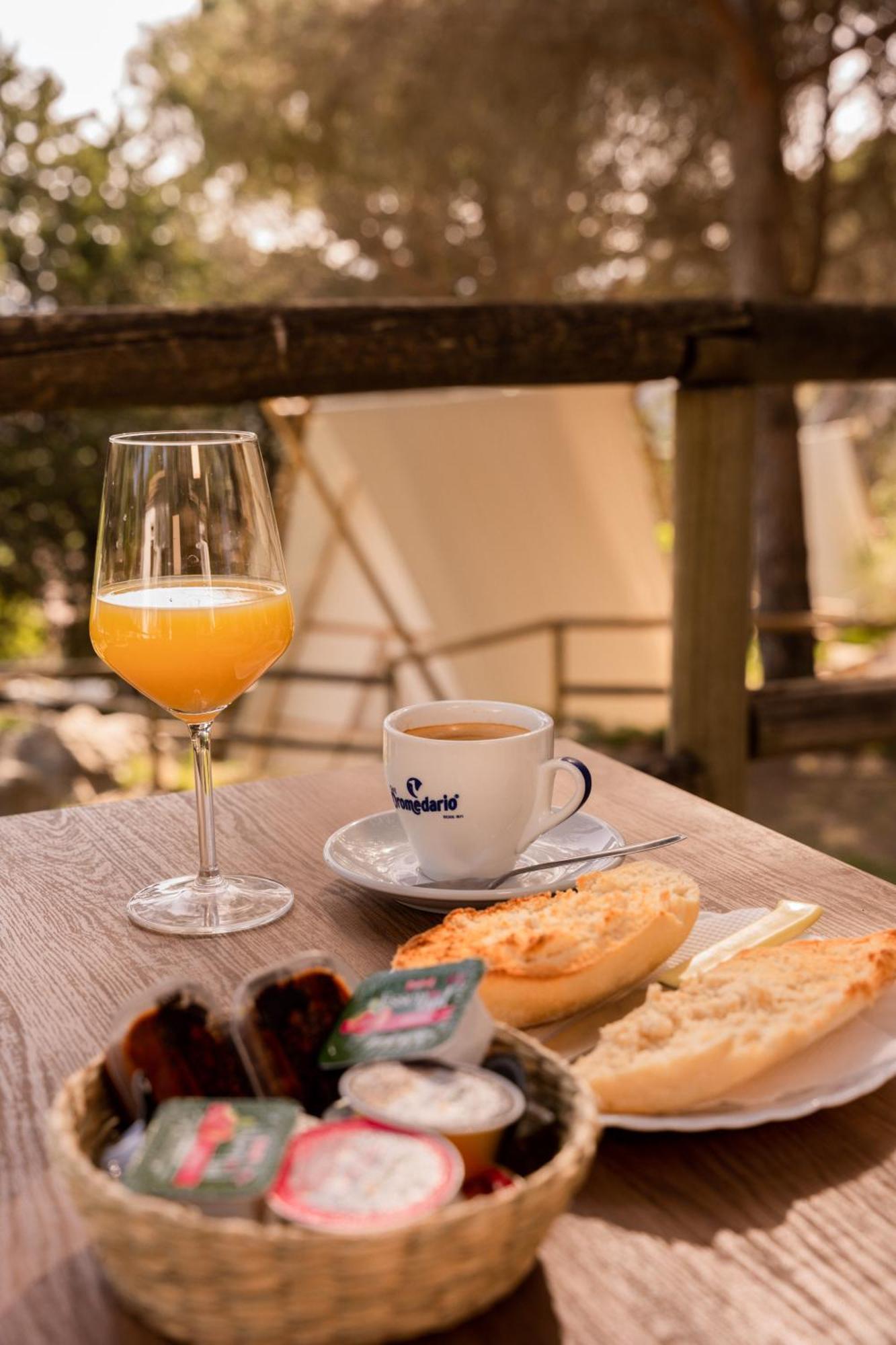 Camping Tajorodillo Грасалема Экстерьер фото